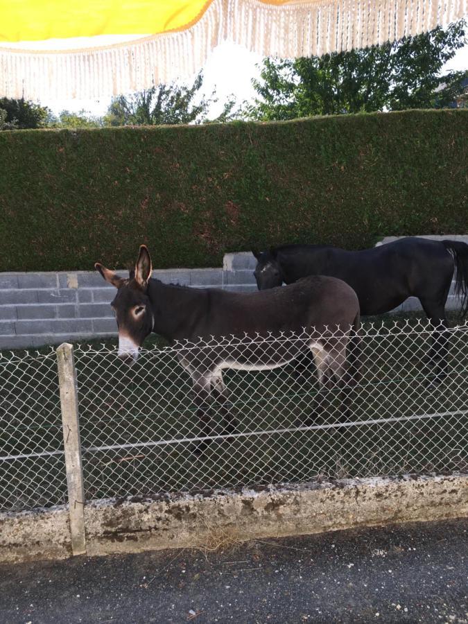 Jardin De Campagne Hébergement de vacances *