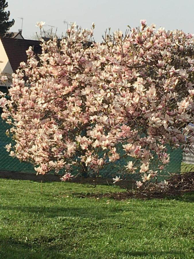 Jardin De Campagne * Ully-Saint-Georges